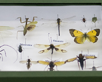 Imagen representativa del proyecto